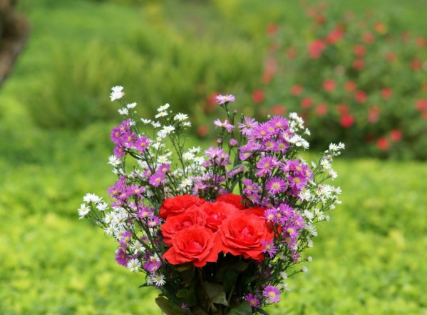 في أعمالِ شهرِ ذِي الحجّة ـ 1 في أعمالِ شهرِ ذِي الحجّة ـ 1