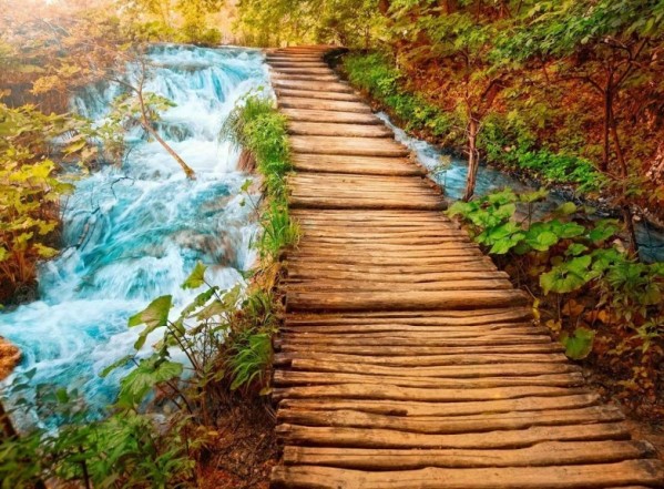 في أعمالِ شهرِ ذِي الحجّة ـ 3 في أعمالِ شهرِ ذِي الحجّة ـ 3