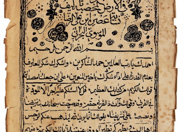 الشجرة الطيبة في الأرض المخصبة الشجرة الطيبة في الأرض المخصبة